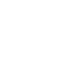 Bernedoodle