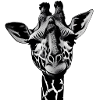 Giraffe S W
