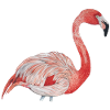 flamant rose de côté