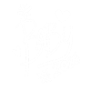 Bébé 2023