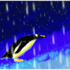 Pinguin
