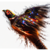 Fasan