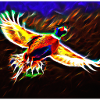 Fliegender Fasan