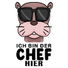 Cool Robbe Chef Spruch
