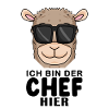 Cool Lama Chef Spruch