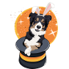 Magical Rabit Dog