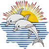Dolphins