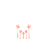 california