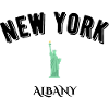 new york albany