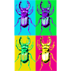 Coleoptera Pop Quadri