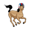 Pferd Motorradhelm