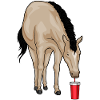 Pferd Trinkbecher