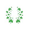 Irish Dance St. Patrick's Dance