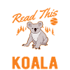 Koala Gift Koala Bear