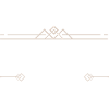 Politiker Beruf