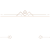 Trader Beruf