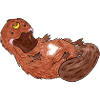 Ornithorynque
