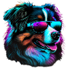Australian Shepherd Dogs Australian Shepherds