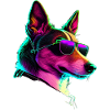 Basenji Dogs Basenjis
