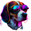 Beagle Dogs Beagles