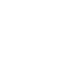 Virginia Shirt