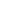 Virginia Shirt