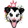 Opossum and crown