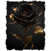 Schwarz Gold Rose