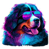 Bouvier Bernois Chiens Bouviers Bernois