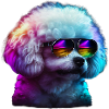 Bichon Frise Dogs Bichon Frises