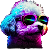 Bichon Frise Dogs Bichon Frises