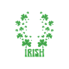 Irish Dance St. Patrick's Dance