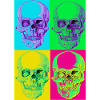 Crâne Pop Art Quadri