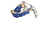 Jiu Jitsu Papa Gi Jiu