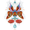 beauty-fly