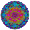 Mandala Mycelium