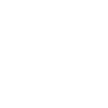 Charleston South Carolina Skyline Gift