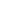Native American
