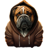 The Cool Sweater Bulldog