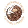 Pangolin Animal Pangolins Endangered Ar