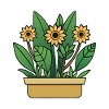 Sunflowers