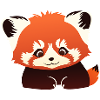 Panda roux (Catbear)