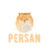 Chat persan