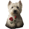 Westie Valentine's Day