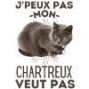 Chat de race chartreux
