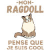 Chat RAGDOLL