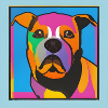 Bulldog dog