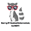 Waschbär
