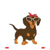 dachshund wiener wiener geschenk