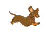 dachshund wiener wiener geschenk